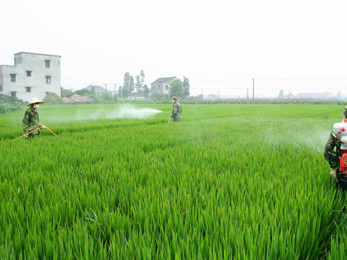 農業農藥老司机深夜福利视频製備